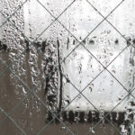 雨露で濡れた防犯ガラス